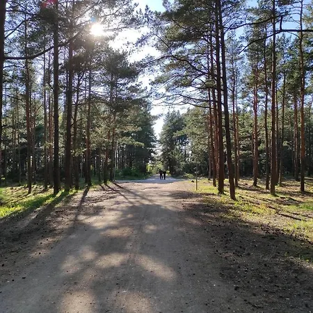Apartman Bimba Palanga
