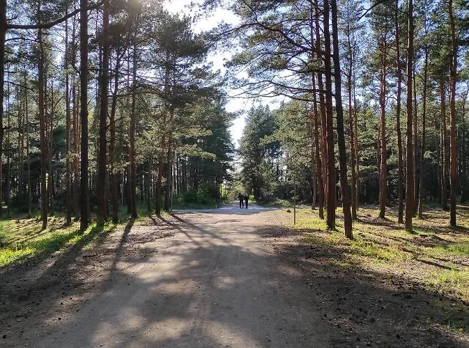 Apartman Bimba Palanga